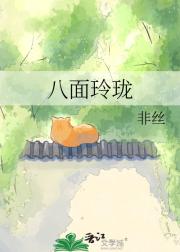 八面玲珑
