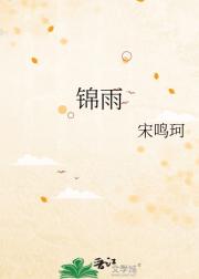 锦雨