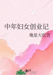 中年妇女创业记