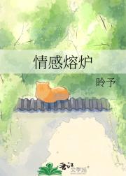 情感熔炉
