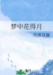 梦中花得月