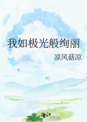 我如极光般绚丽