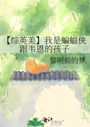 【综英美】我是蝙蝠侠跟韦恩的孩子