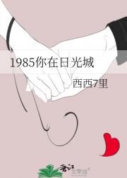 1985你在日光城