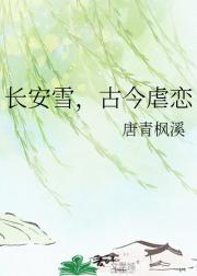 长安雪,古今虐恋