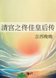 清宫之佟佳皇后传