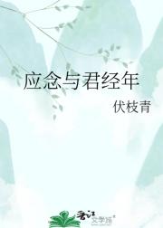 应念与君经年