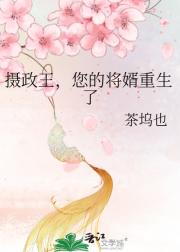 摄政王,您的将婿重生了