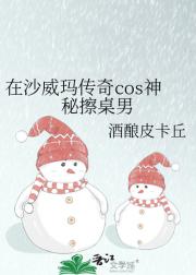 在沙威玛传奇cos神秘擦桌男