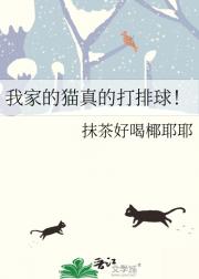 我家的猫真的打排球!