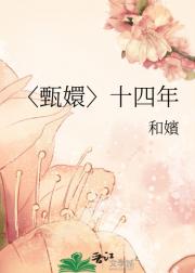 〈甄嬛〉十四年