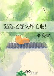 猫猫老婆又炸毛啦!