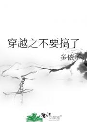 穿越之不要搞了