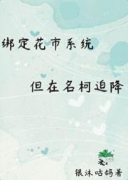绑定花市系统,但在名柯迫降