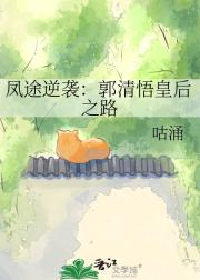 凤途逆袭:郭清悟皇后之路