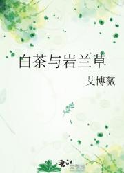 白茶与岩兰草