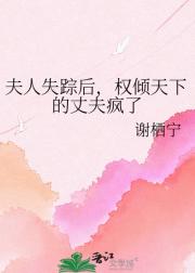 夫人失踪后,权倾天下的丈夫疯了