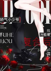 娇气小少爷找冷脸攻复合后