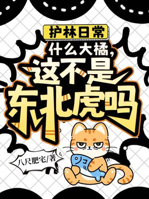 护林日常,什么大橘,这不是东北虎吗