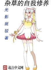 神医救世:从官场开始