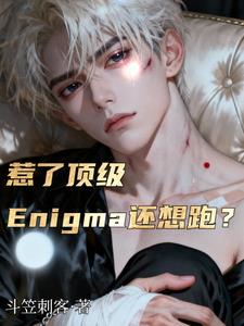 ���˶���Enigma�����ܣ�