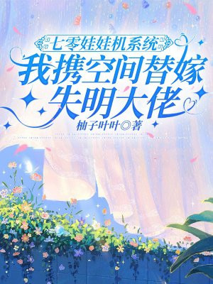 �������޻�ϵͳ����Я�ռ����ʧ������