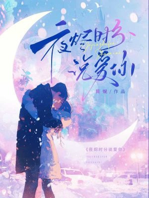 ҹ��ʱ��˵����