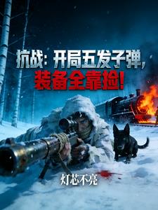 ��ս�������巢�ӵ���װ��ȫ����