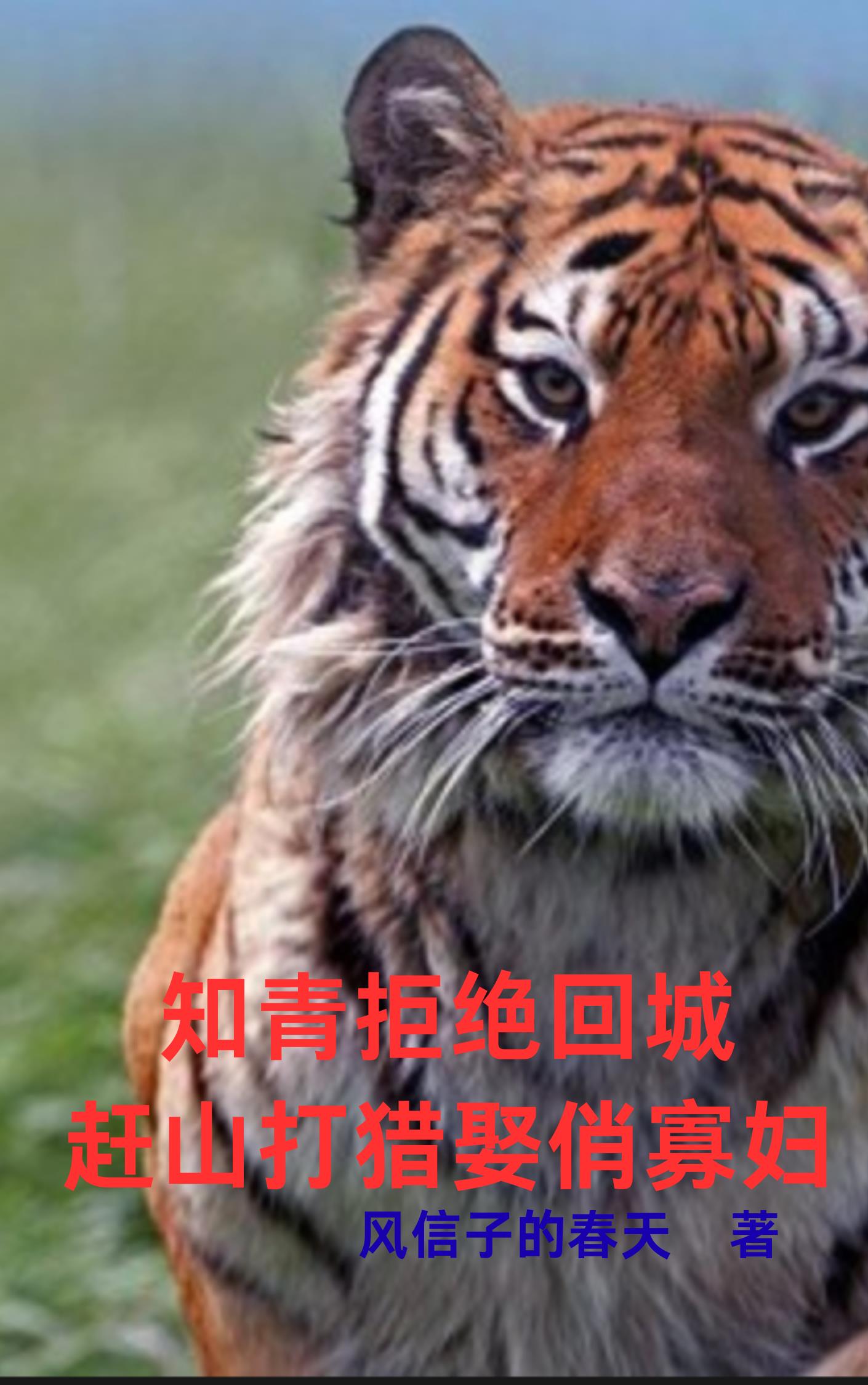 ֪��ܾ��سǣ���ɽ����Ȣ�ιѸ�