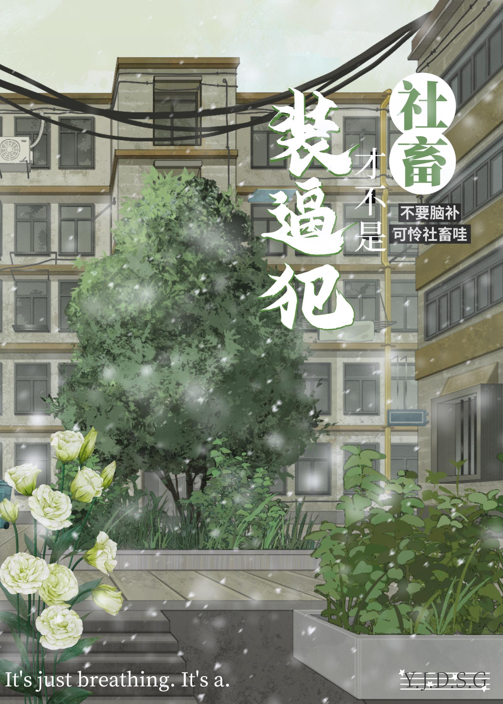 װ�Ʒ��������Լ�����