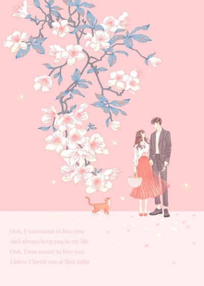 ����΢���᳾