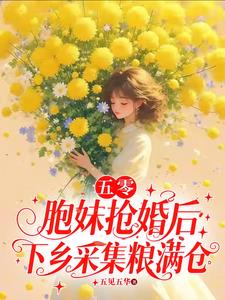 ���㣺�������������ɼ�������