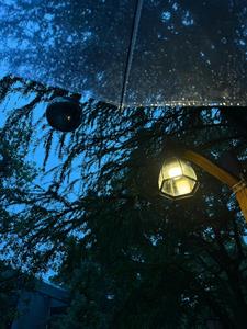 ʥ������¼