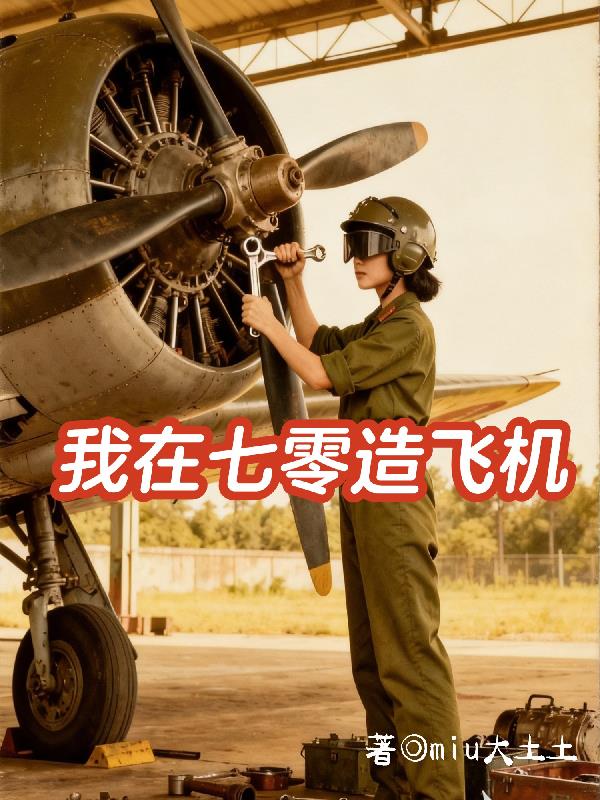 ����������ɻ�