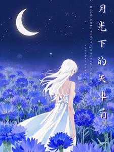 ��cn���¹��µ�ʸ����