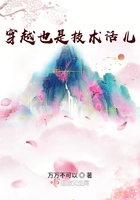 ��ԽҲ�Ǽ������