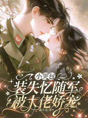 С�ް�װʧ������������н���