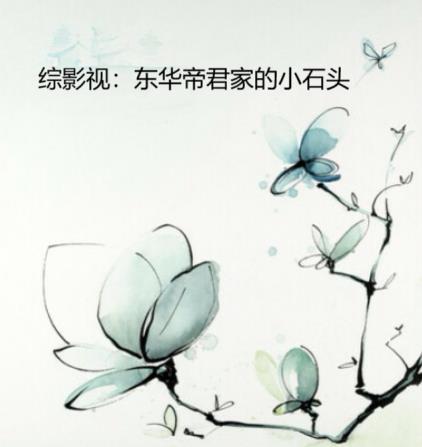 ��Ӱ�ӣ������۾��ҵ�Сʯͷ