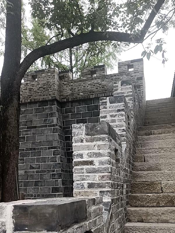 ������˵