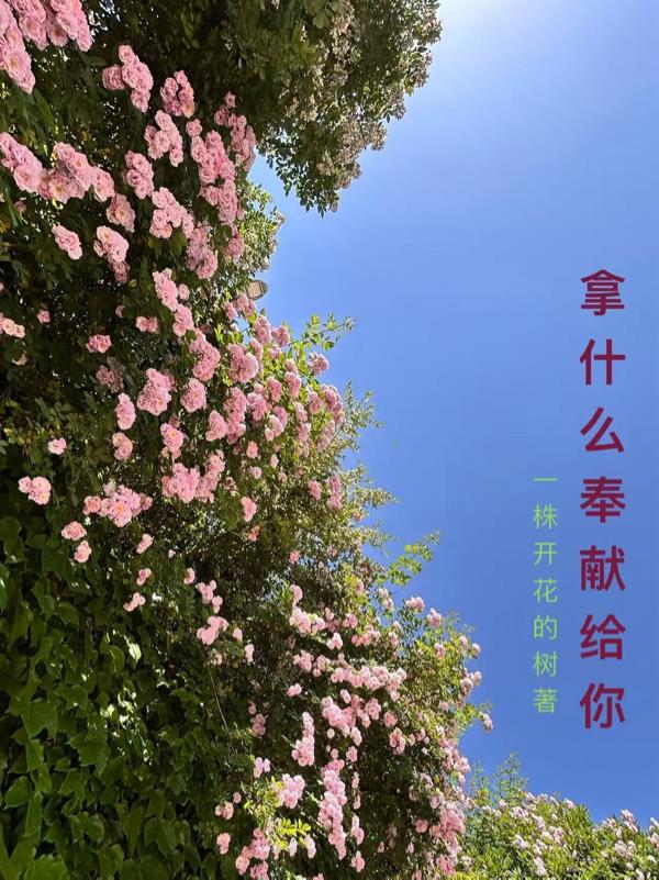 ��ʲô���׸���