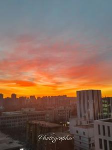 ���boss��Ů��