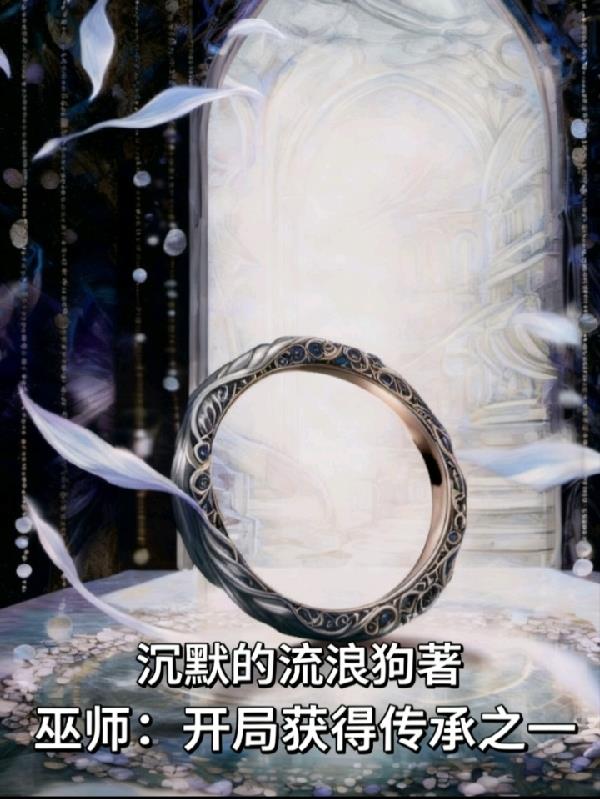 ��ʦ�����ֻ�ô���֮һ