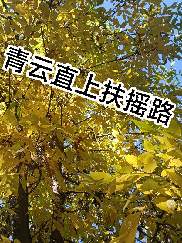 ����ֱ�Ϸ�ҡ·