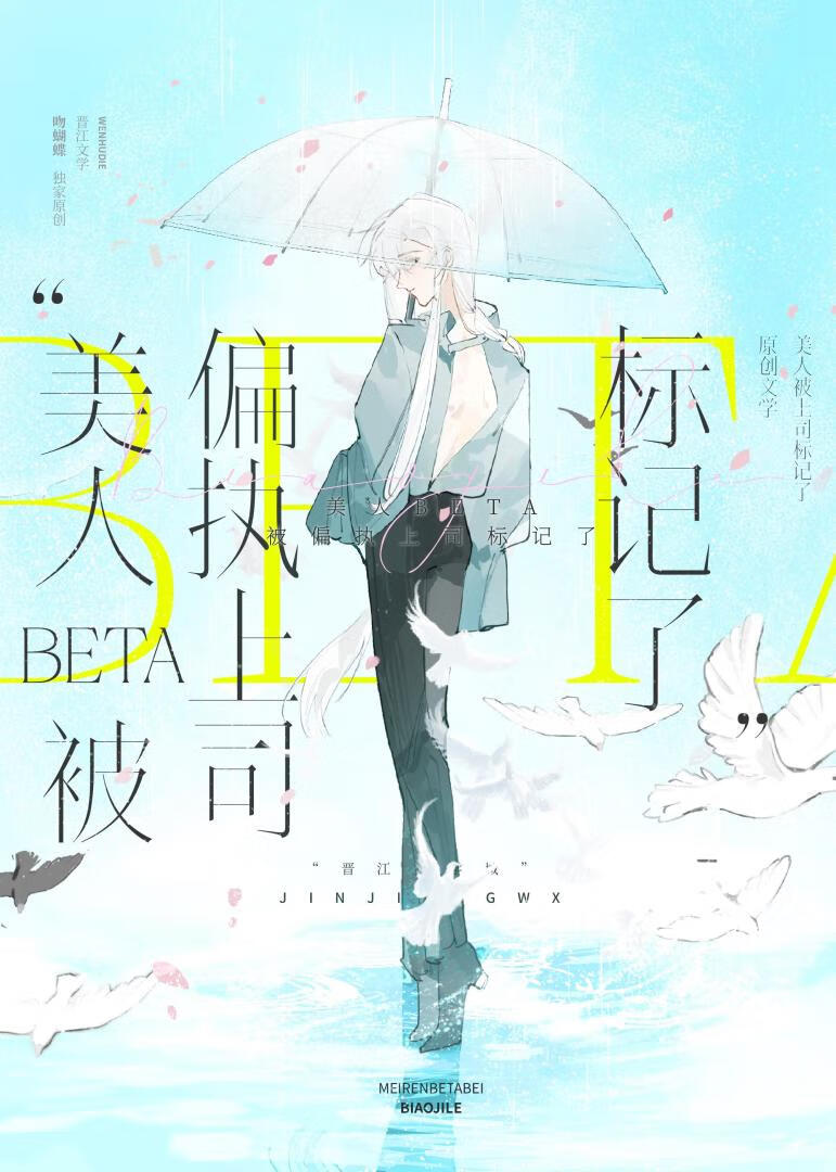 ����Beta��ƫִ��˾�����