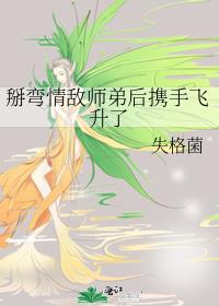 掰弯情敌师弟后携手飞升了